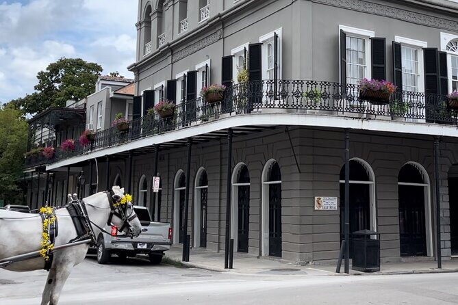 Shadows and Spells: Voodoo, Vampire & Witch Tour - FAQ