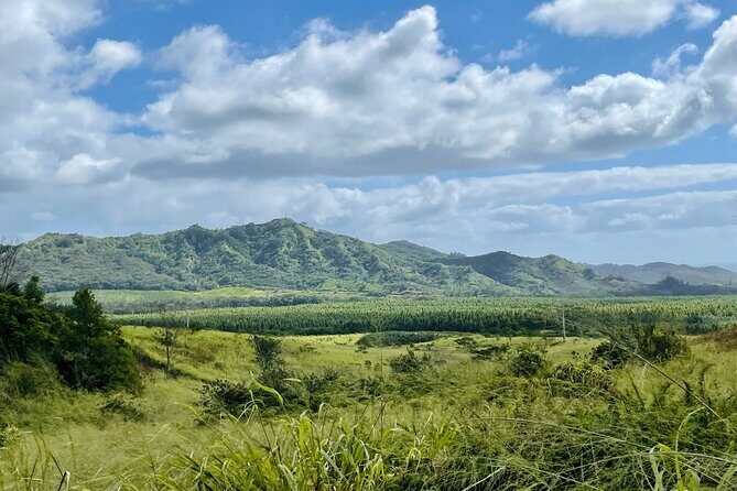 Shaka Zipline: 5 Line Zipline Tour (60 - 260 lbs) - What to Expect from the Tour