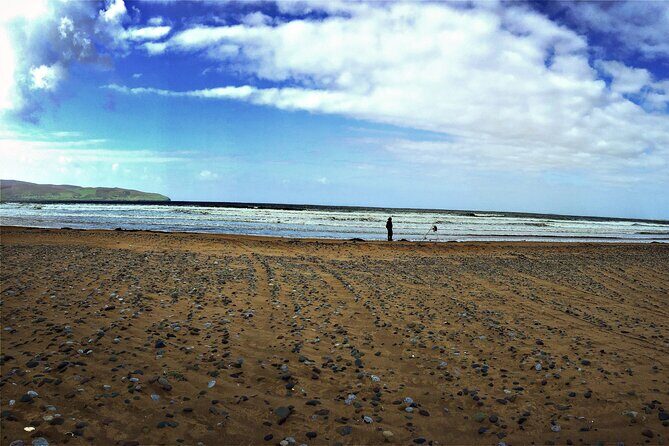 Shannon Airport Private Transfer: Killarney to Shannon Airport - Who Is This Tour Best Suited For?