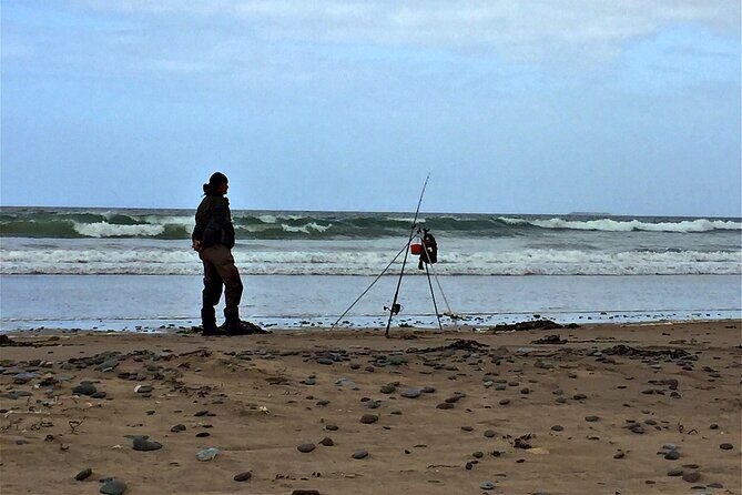 Shannon Airport Private Transfer: Shannon Airport to Killarney - The Experience from Arrival to Drop-off