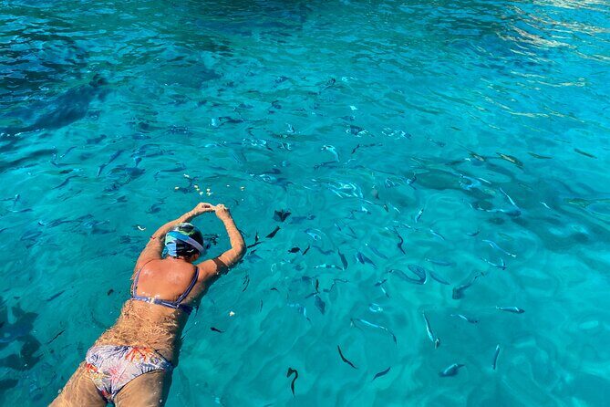 Shared 3-hour sunset tour from Tropea to Capo Vaticano - Key Points