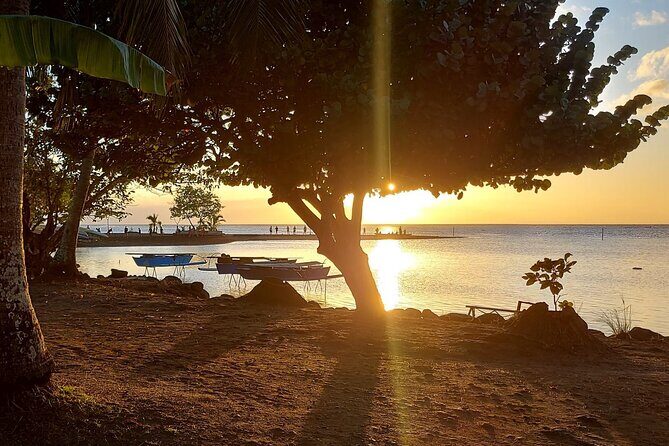 Shared 4.5h Circle Island Tour of Tahiti Nui by Lydia - Final Thoughts