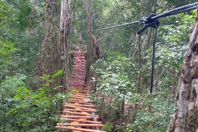 Shared ATV's and Zip Lines and Swimming in a Real Cenote. - The Verdict: Who Should Consider This Tour?