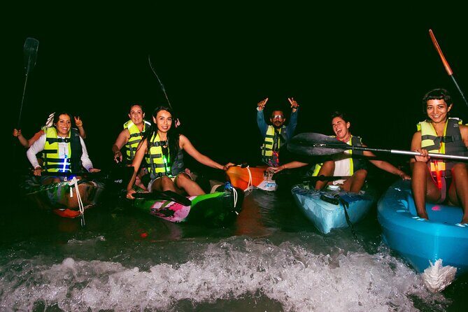 Shared Bioluminescence kayak tour in Holbox - Why Is Bioluminescence So Special?
