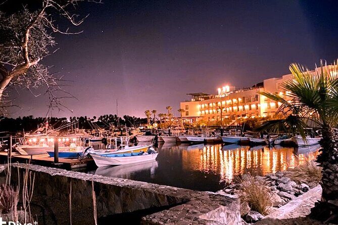 Shared Cabo Sunset Cruise with Open Bar and Scenic Views - The Verdict