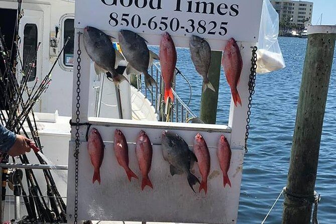 Shared Deep Sea Fishing Trip from Destin - Who Should Consider This Tour?