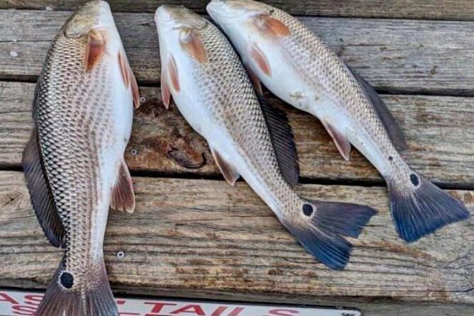 Shared Deep Sea Fishing Trip from Destin - Final Thoughts