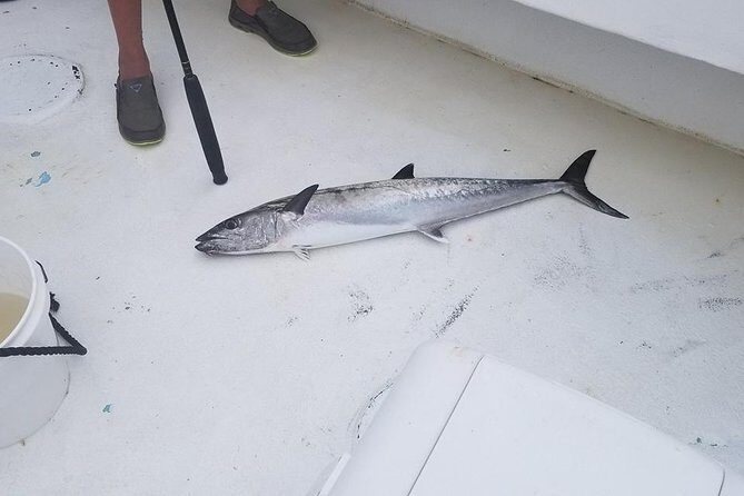 Shared Deep Sea Fishing Trip from Destin - FAQ