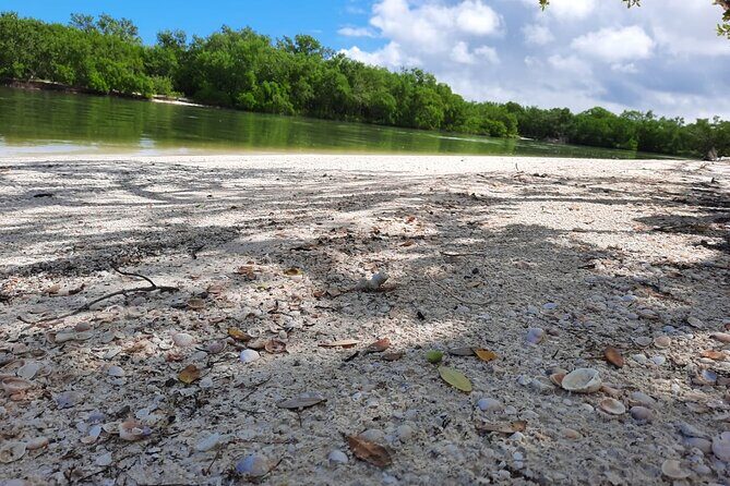 Shared mangroves kayak tour in Holbox - FAQ: Your Burning Questions Answered