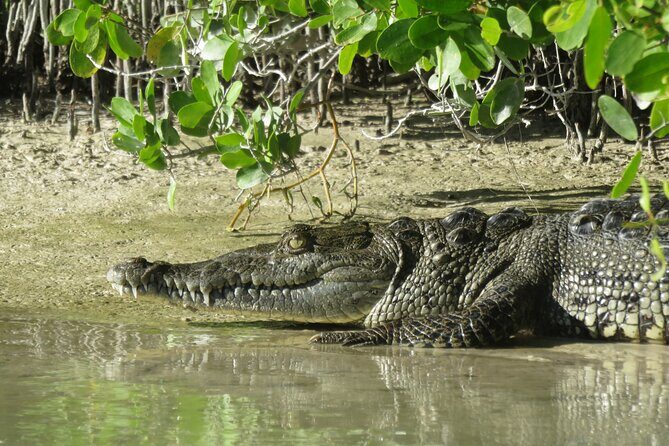 Shared mangroves kayak tour in Holbox - Final Thoughts