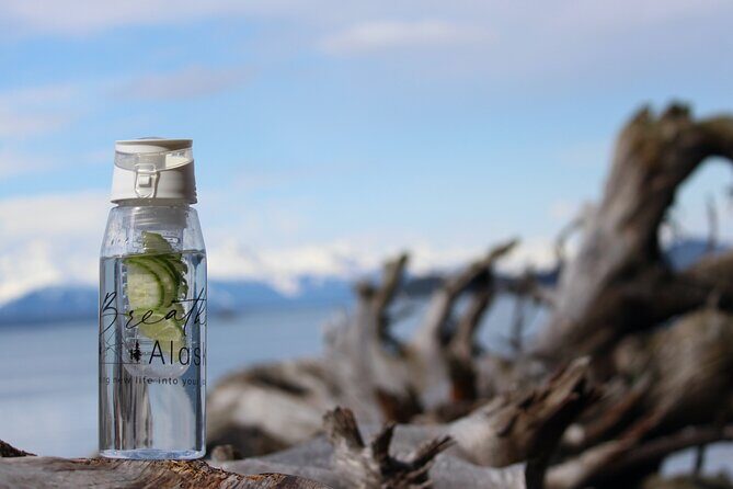 Shared Mindfulness in Wilderness Tour From Alaska - Who Will Love This Tour?