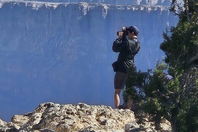 Shared Rim to Rim Transport - What about timing and duration?