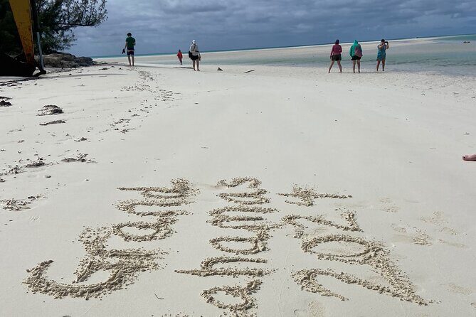 Shared Round Trip Limousine Transfer - Tips for Making the Most of This Transfer