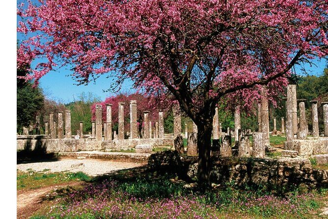 Shared Round Trip Transfer Service from Katakolon to Olympia - Final Thoughts