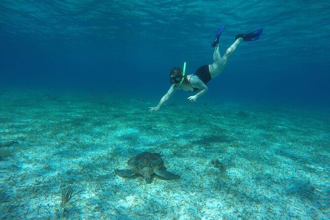 Shared Sky Snorkeling in Cozumel - FAQs