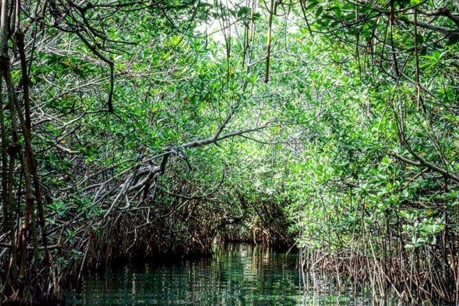 Shared Speedboat and Snorkeling Adventure in Cancun - Analyzing the Value