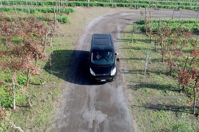 Shared Transfer from Sorrento to Naples Airport - Final Thoughts