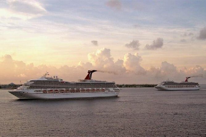 Shared Transfer From the Civitavecchia Port to Fiumicino airport - Vehicle Comfort and Capacity