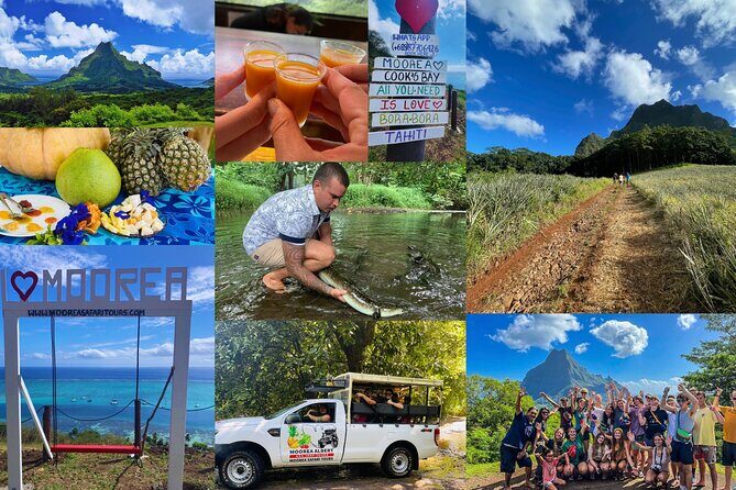 Shared Transfer: Hotel or Cruise Port to Tahiti Airport - Price and Value Analysis