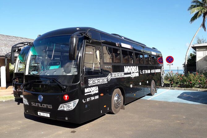 Shared Transfer : Hotel to Moorea Airport (or) Pier - What to Expect from the Shared Transfer Service