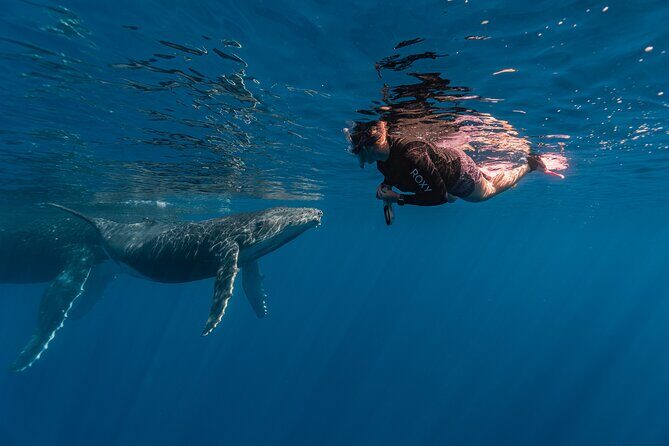 Shared Whale Expedition - Final Thoughts