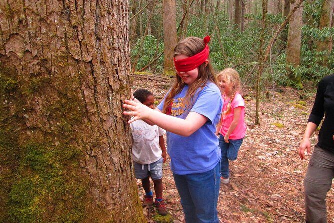 Sharing Nature with Children - What Could Be Improved