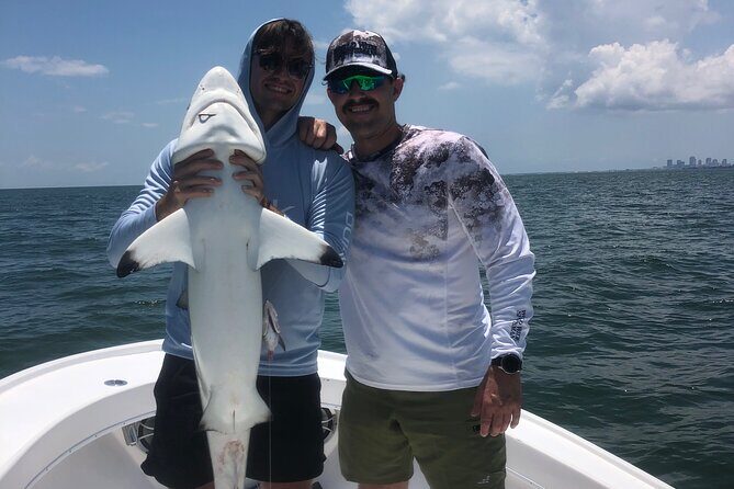 Shark Fishing Tampa Bay - Authentic Feedback & What You Might Expect