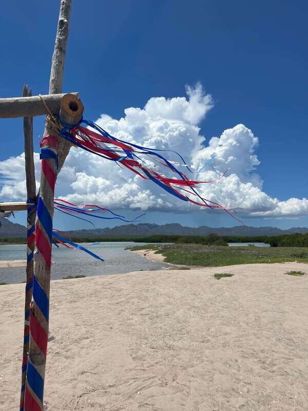 Shark Island: Tour of the largest island in Mexico - Key Points