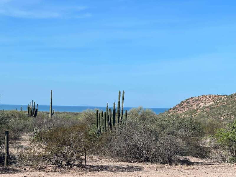 Shark Island: Tour of the largest island in Mexico - In-Depth Look at the Shark Island Tour