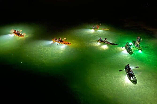 Sharkey's Glass Bottom Fish Feeding LED Night Tour in Clearwater - Final Thoughts