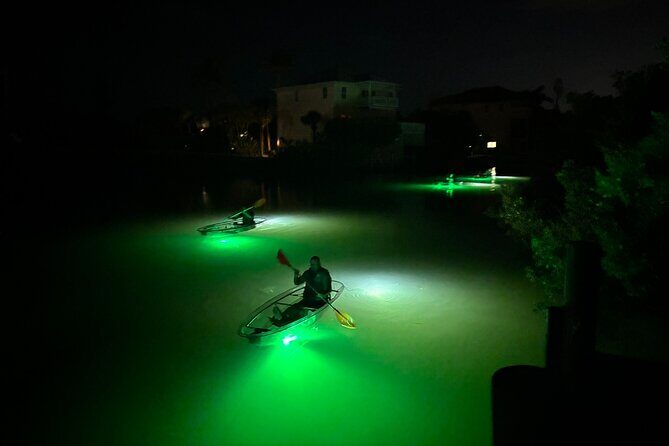 Sharkey's Glass Bottom Fish Feeding LED Night Tour in Venice, FL - What to Expect from the Tour