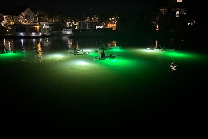 Sharkey's Glass Bottom Fish Feeding LED Night Tour in Venice, FL - FAQ