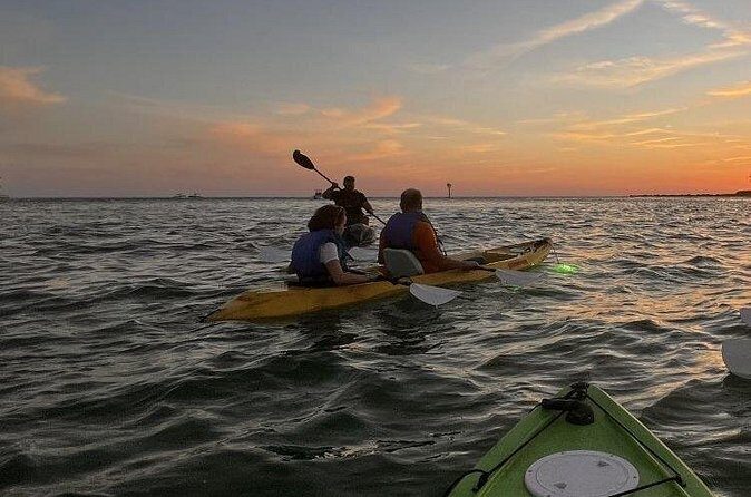 Sharkeys Glass Bottom Fish Feeding LED Night Tour Key West - Practical Details and Tips