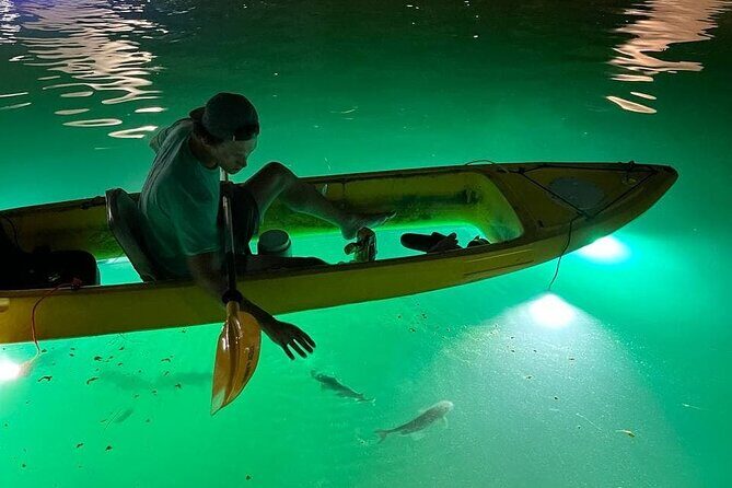 Sharkeys Glass Bottom Fish Feeding LED Night Tour St. Pete Beach - An In-Depth Look at the Experience