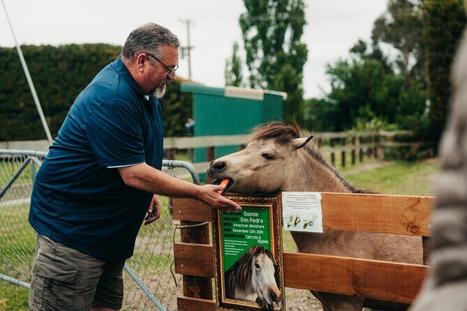 Sheep Farm Day Trip from Christchurch + Lunch and Winery visit. - Frequently Asked Questions