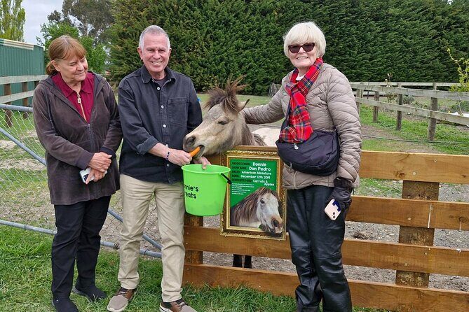 Sheep Farm Day Trip from Christchurch + Lunch and Winery visit. - Final Thoughts