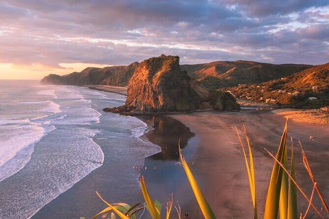 Sheep World and West Auckland Discovery Small Group Day Tour - What are the Downsides?