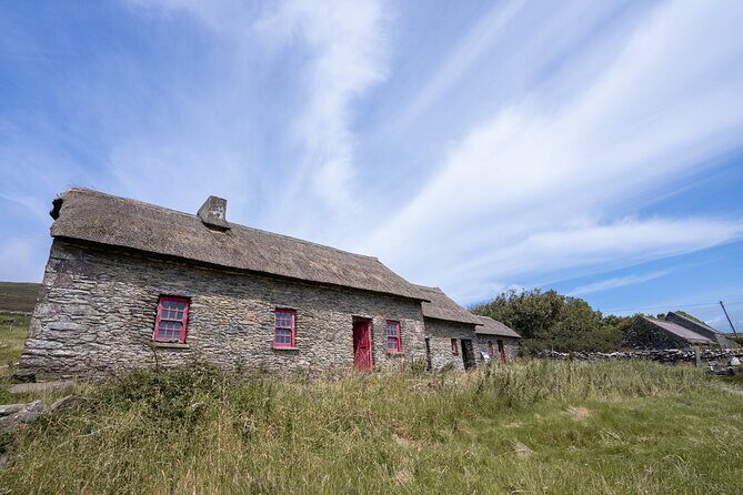 Sheepdog Demonstrions, Pet Lambs and Beehive Huts - Who Is This Tour Best For?