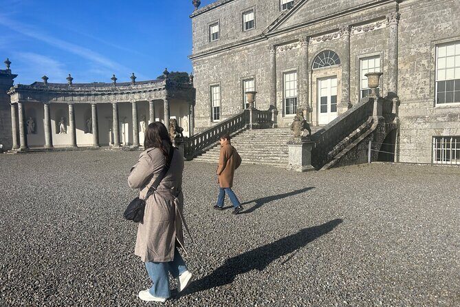 Sheepdogs in the countryside, authentic Dubliners city tour combo - The Authentic Charm of the Experience