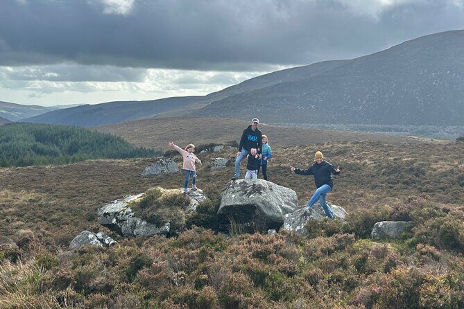 Sheepdogs in the countryside, authentic Dubliners city tour combo - FAQ