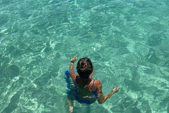 Shell Island Dolphin and Snorkel Boat Tour - Overview of the Experience