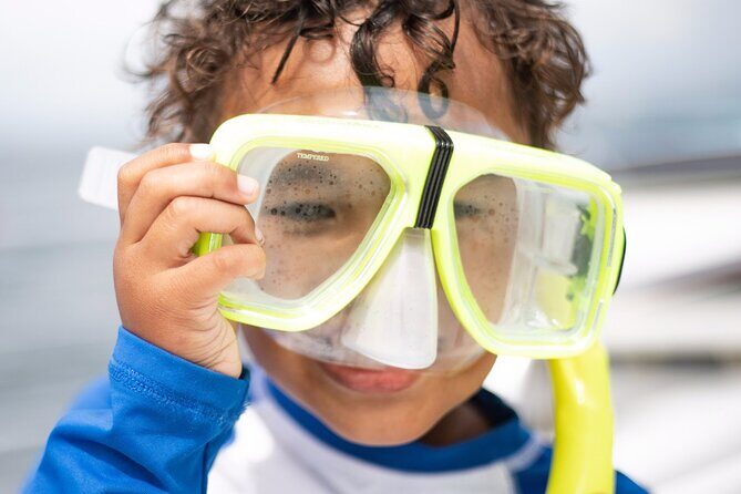 Shell Island Dolphin and Snorkel Boat Tour - Detailed Breakdown of the Tour