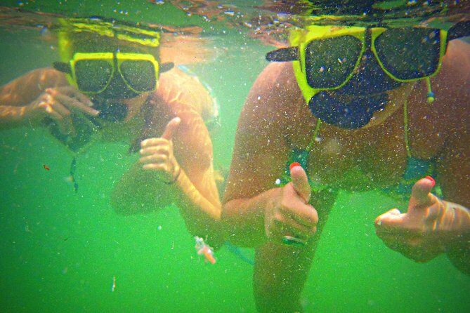 Shell Island Snorkel and Dolphin Catamaran Cruise with Island Time - The Cancellation Policy and What It Means