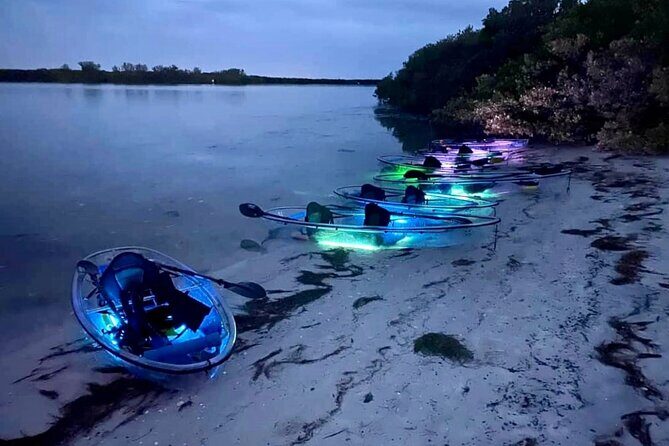 Shell Key Clear Kayak Sunset & Glow Tours - The Sum Up