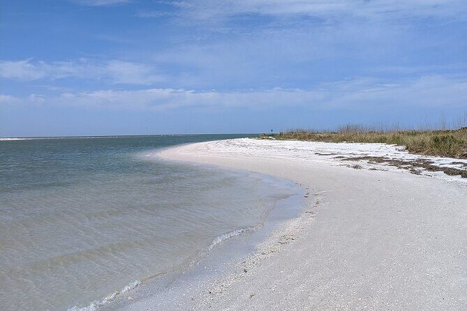 Shell Key Ferry from Ft. DeSoto Boat Ramp in Tierra Verde, FL - Who Is This Tour Best For?