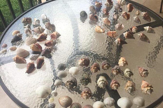 Shelling Tours - Fort Myers Beach / Naples - Who Will Love This Tour?