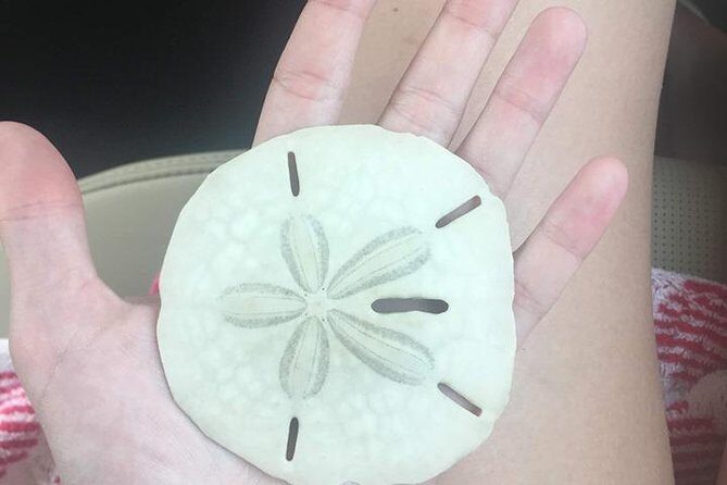 Shelling Tours - Fort Myers Beach / Naples - FAQs