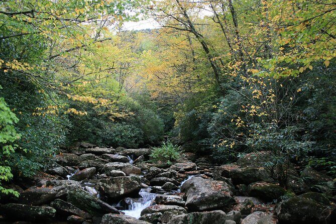 Shining Rock Guided Tour - The Starting Point: Black Balsam Knob