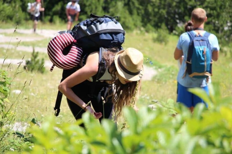 Shkodër: Accursed Mountains 5-Day Hike with Accommodation - Unpacking the Experience: What You Can Expect Over 5 Days