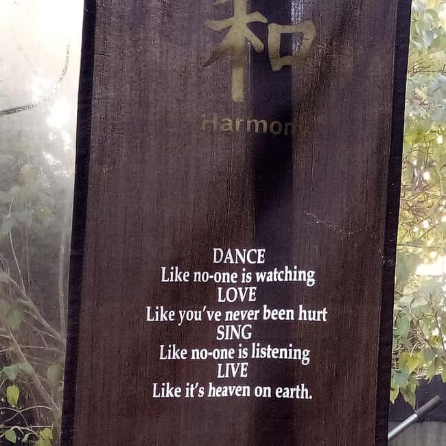 Shkodër Culinary & Wellness Experience  Hidden Gems - What You Can Expect from the Tour